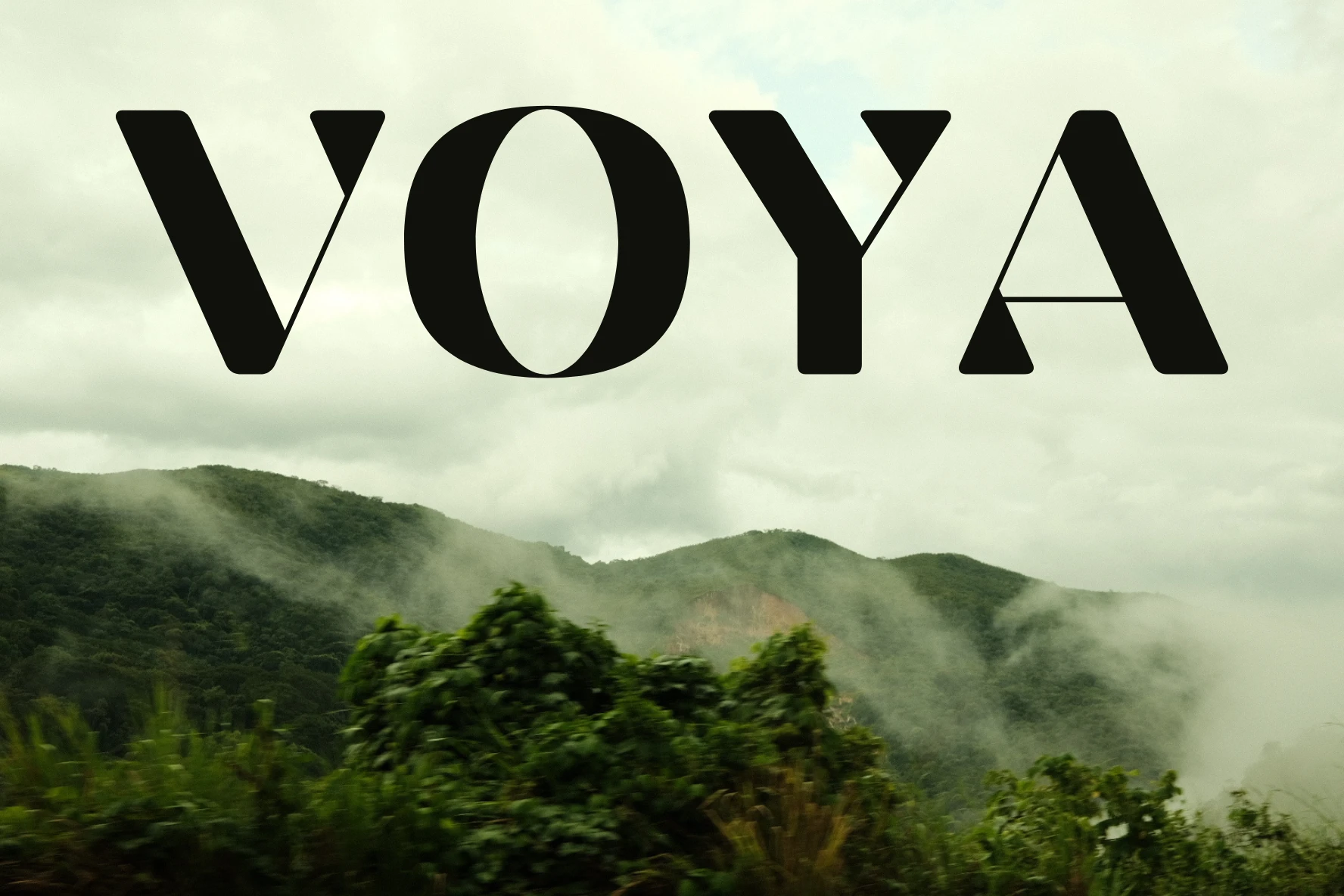 Montañas de bosque nuboso con neblina subiendo entre los árboles, bajo el logotipo VOYA